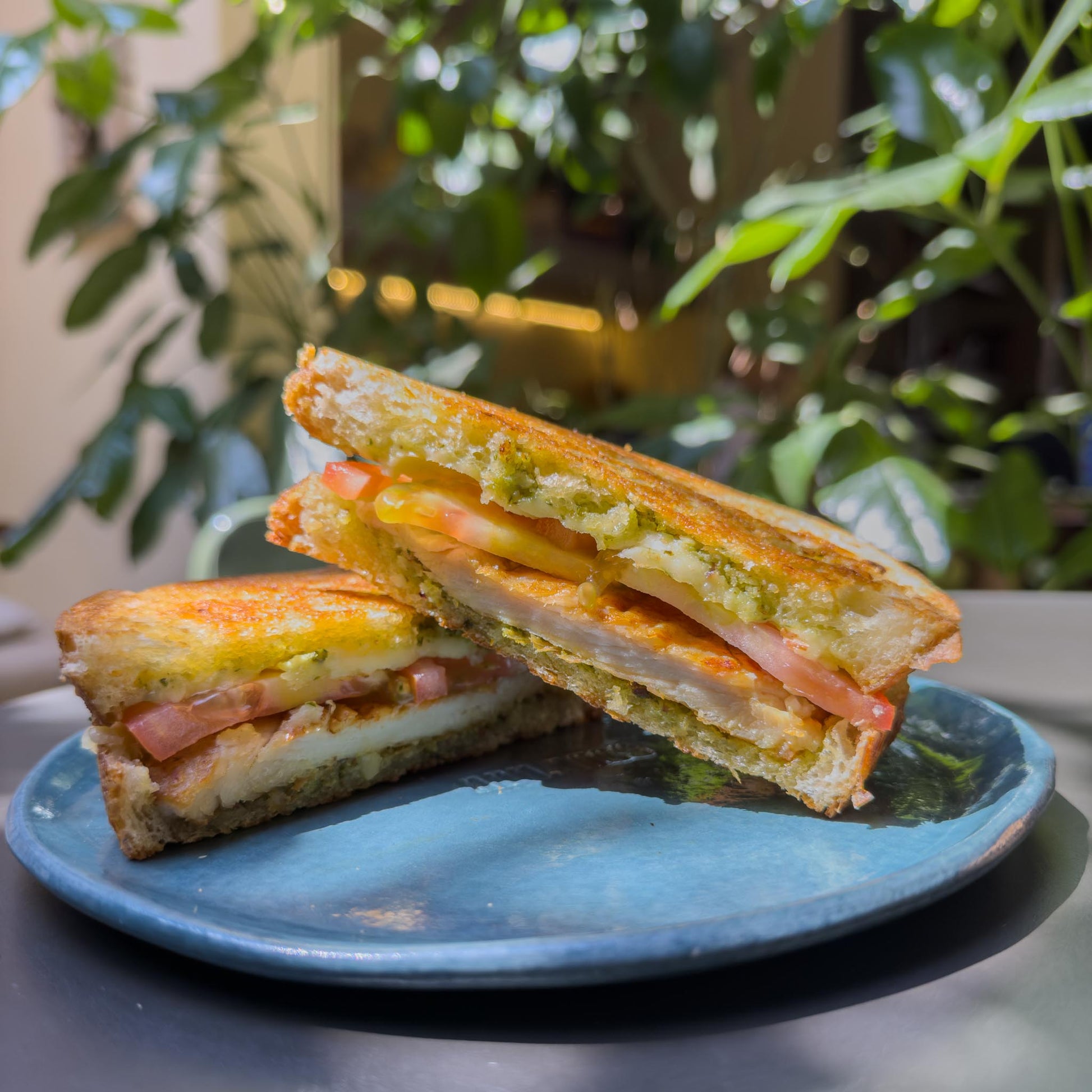 chicken panini