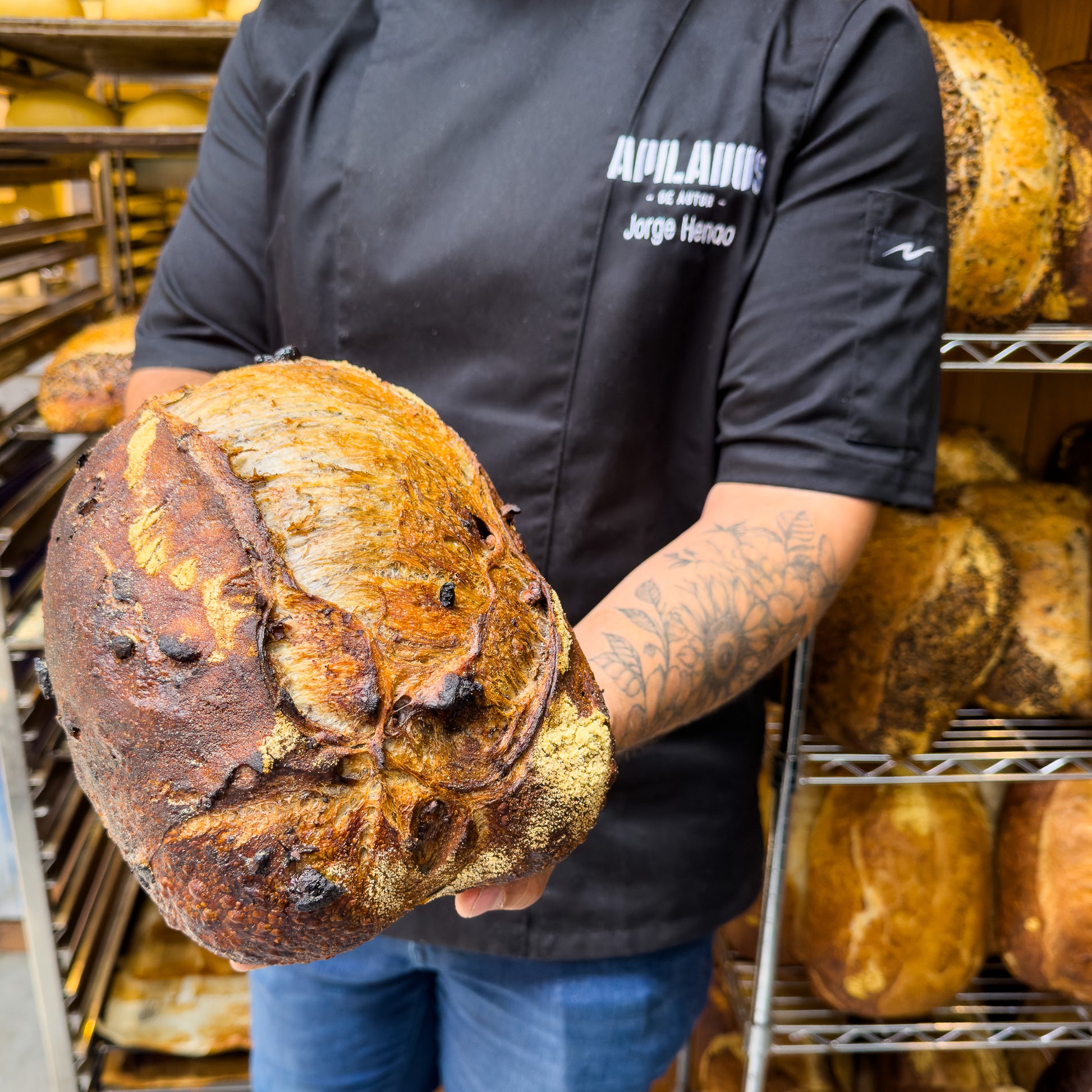 Sourdough nuez de nogal y arándanos